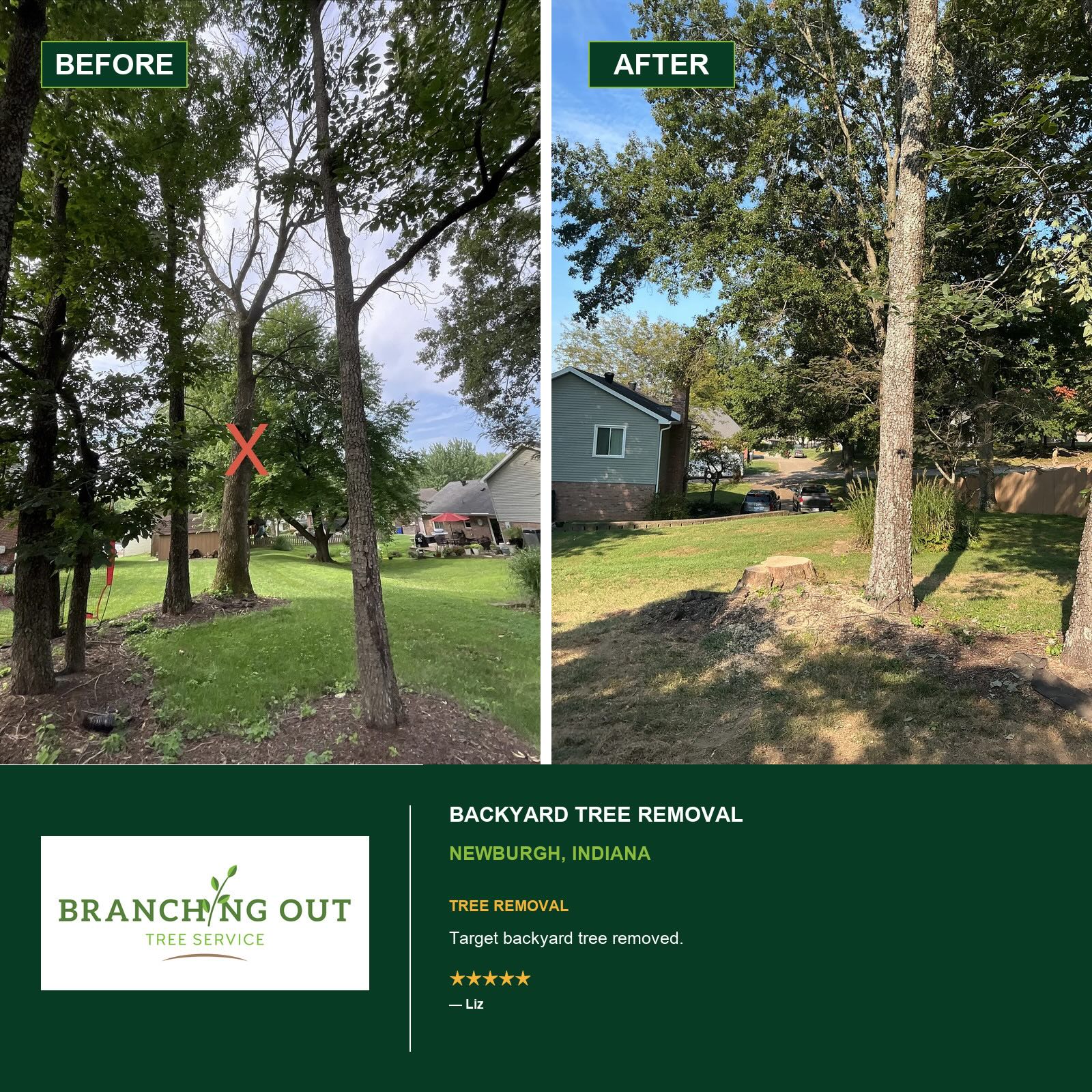 Before-and-after backyard tree removal in Newburgh, with Liz customer review