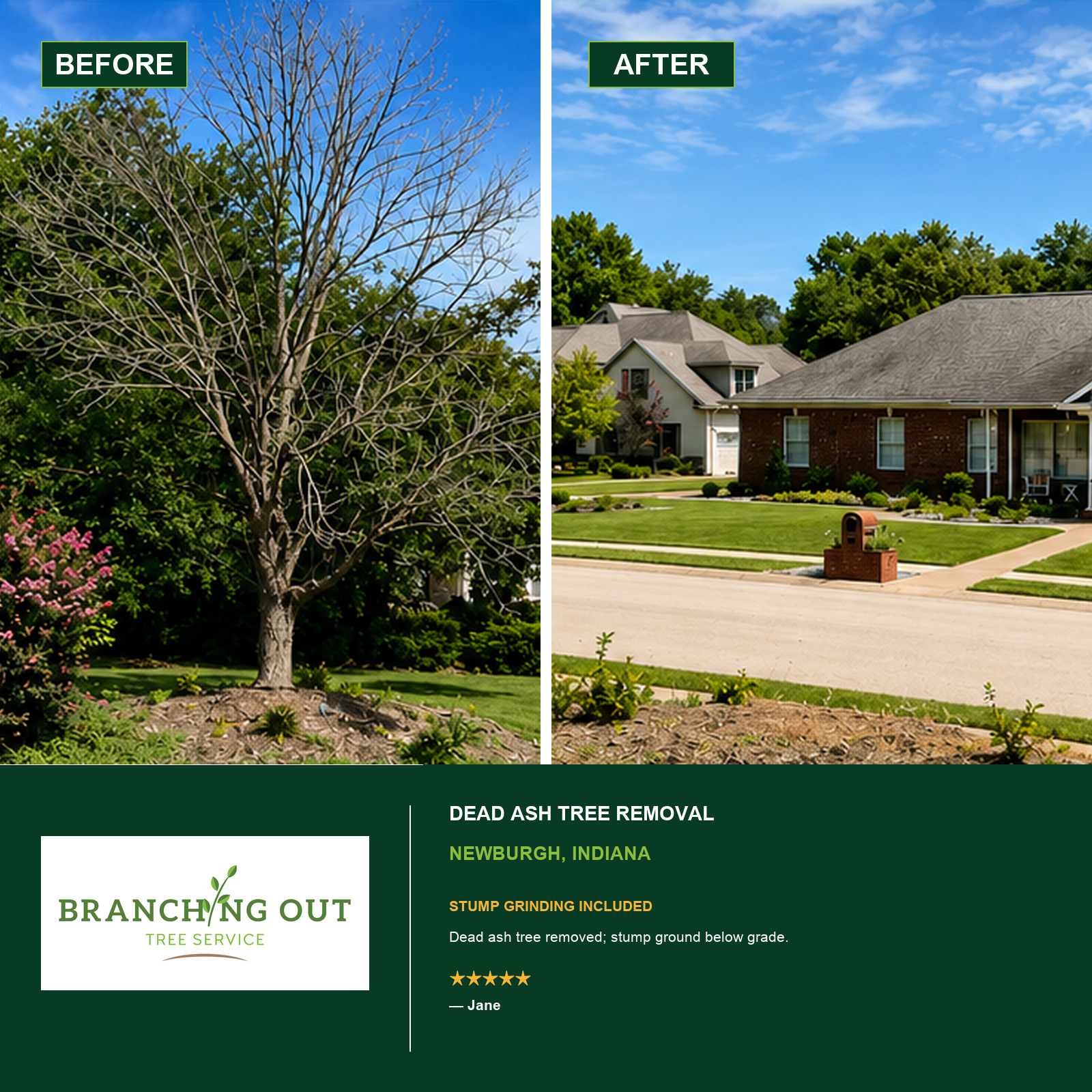 Before-and-after dead ash tree removal and stump grinding at Jane’s Newburgh property