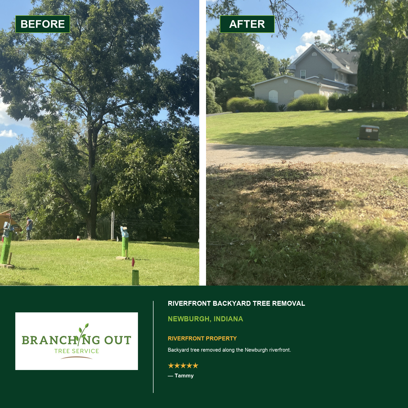 Before-and-after backyard tree removal along the Newburgh riverfront, with Tammy customer review