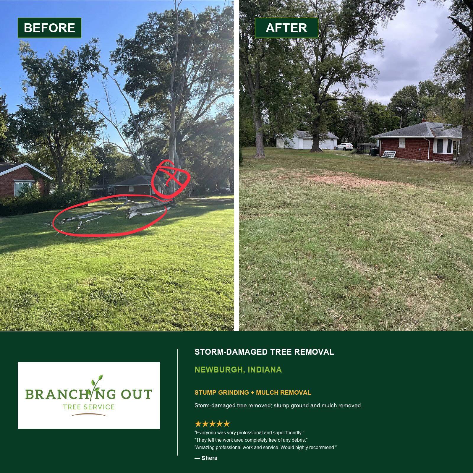 Before and after storm-damaged tree removal at Shera’s Newburgh property, including stump grinding and mulch removal.