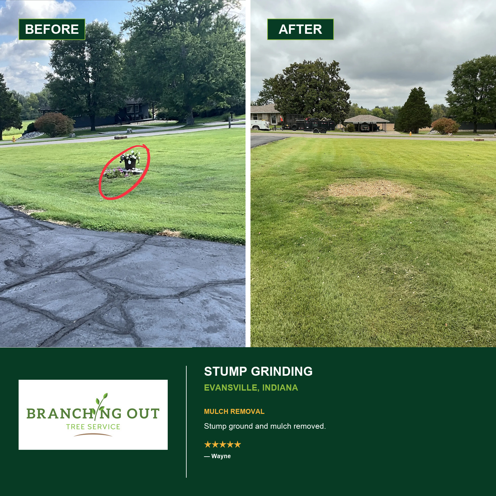 Before and after stump grinding and mulch removal at Wayne’s Evansville property, showing the stump removed from the front lawn.