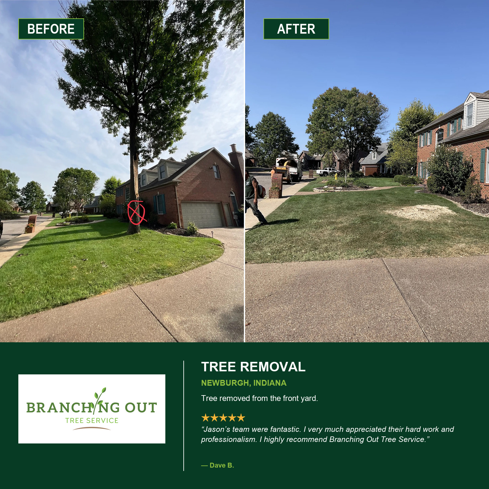 Before-and-after front-yard tree removal beside a Newburgh home, with Dave B. customer review