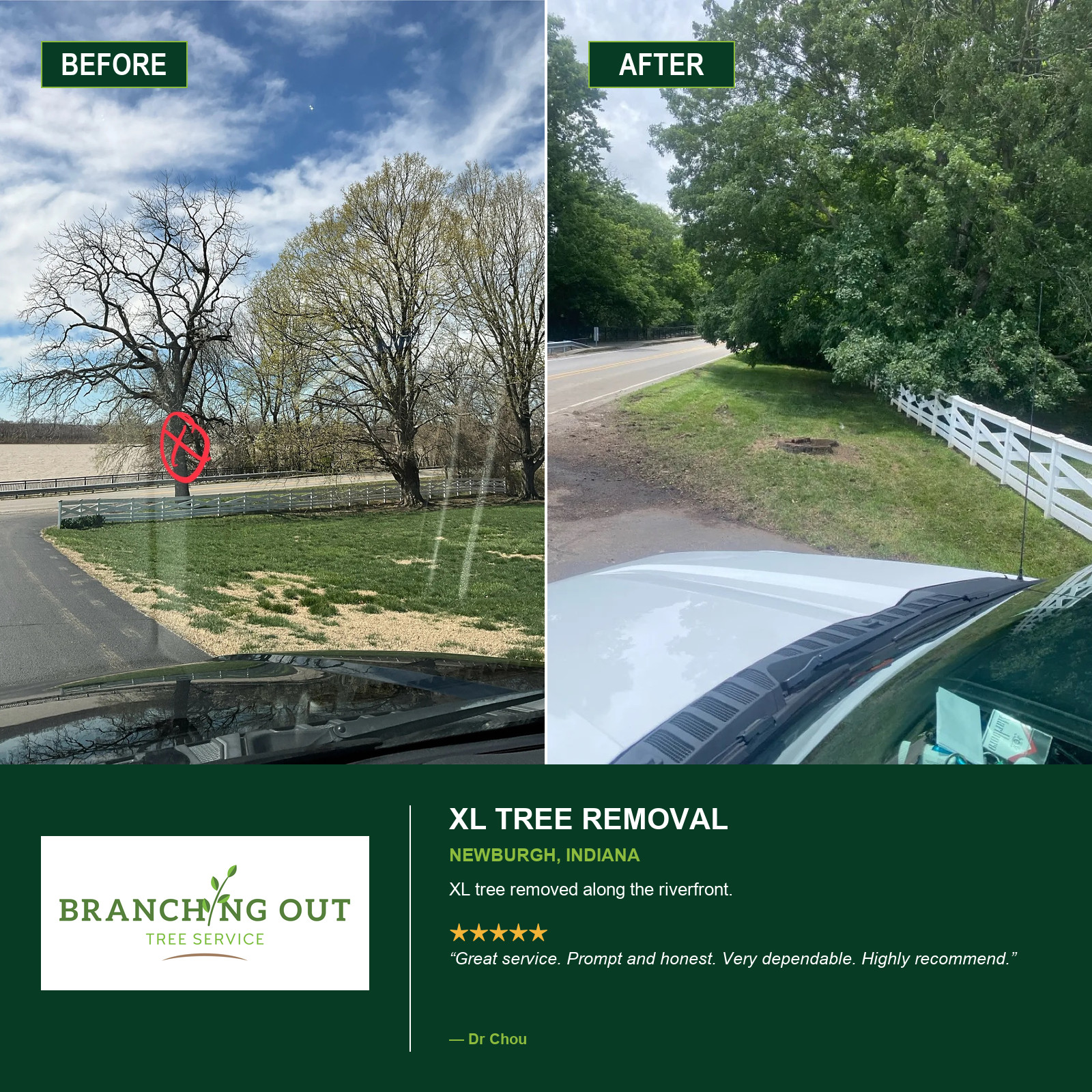 Before-and-after large tree removal along the Newburgh riverfront, with Dr. Chou customer review