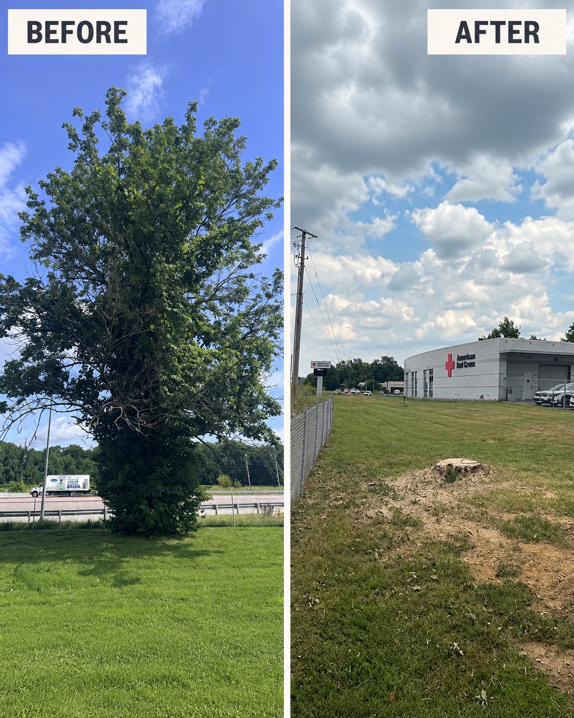 American Red Cross tree removal
