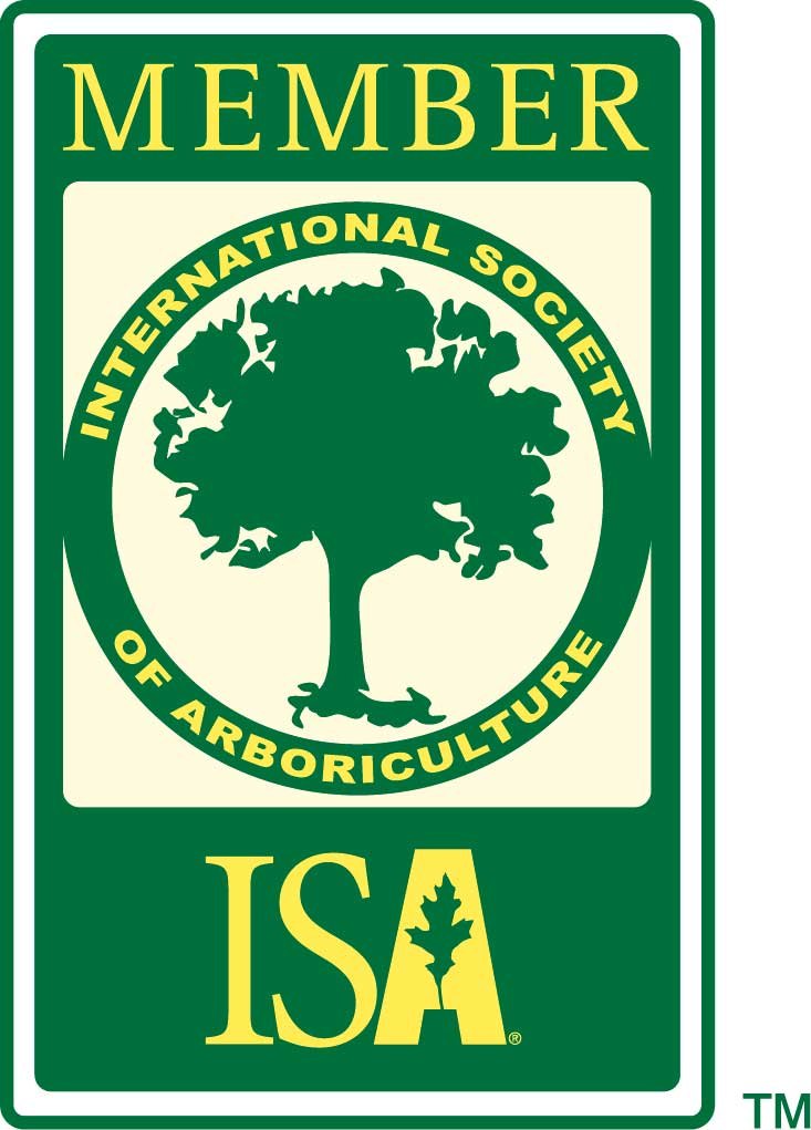 ISA member mark