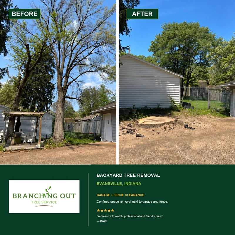 Before-and-after backyard tree removal beside a garage and chain-link fence in Evansville, Indiana, with Brad customer review