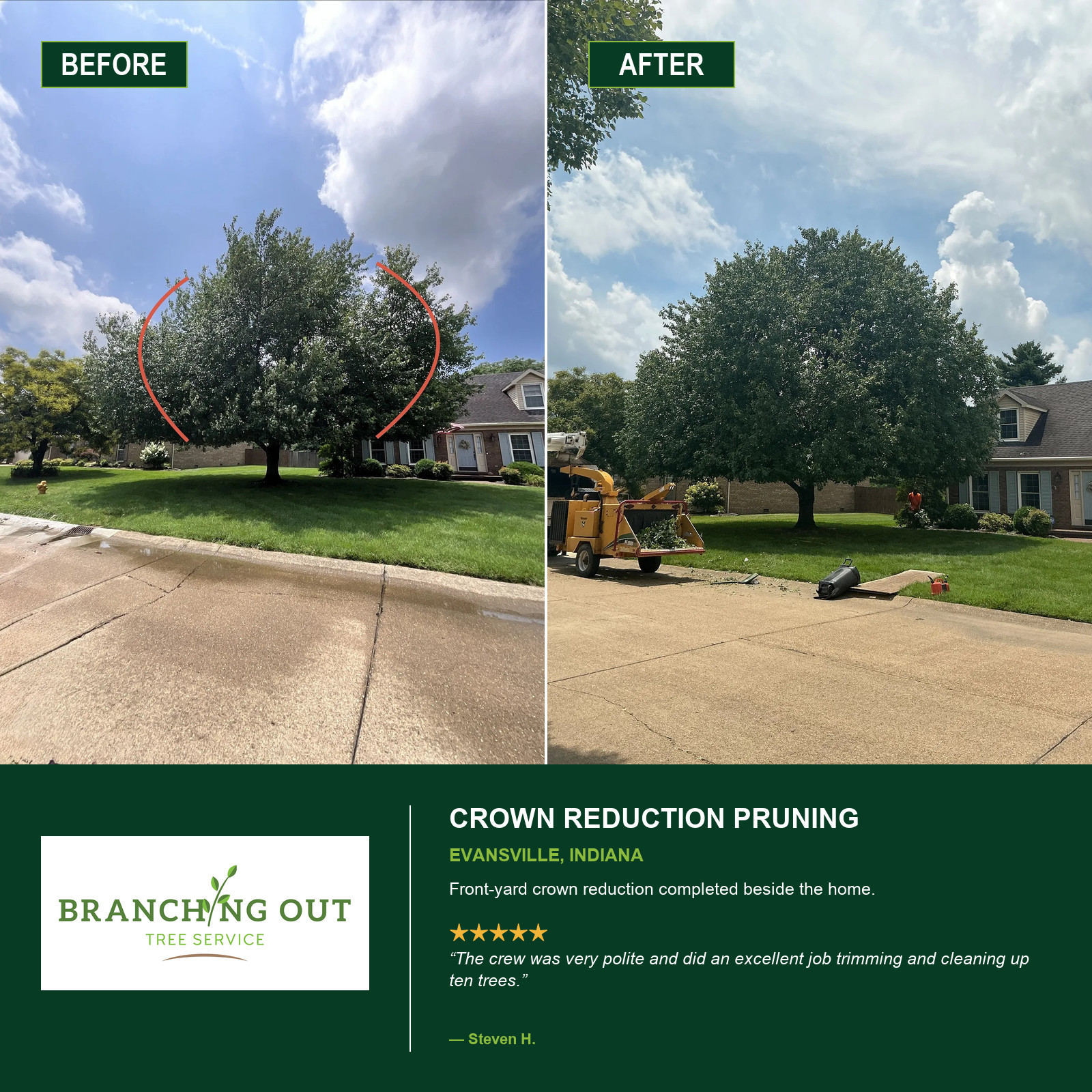 Before-and-after crown reduction pruning at an Evansville home