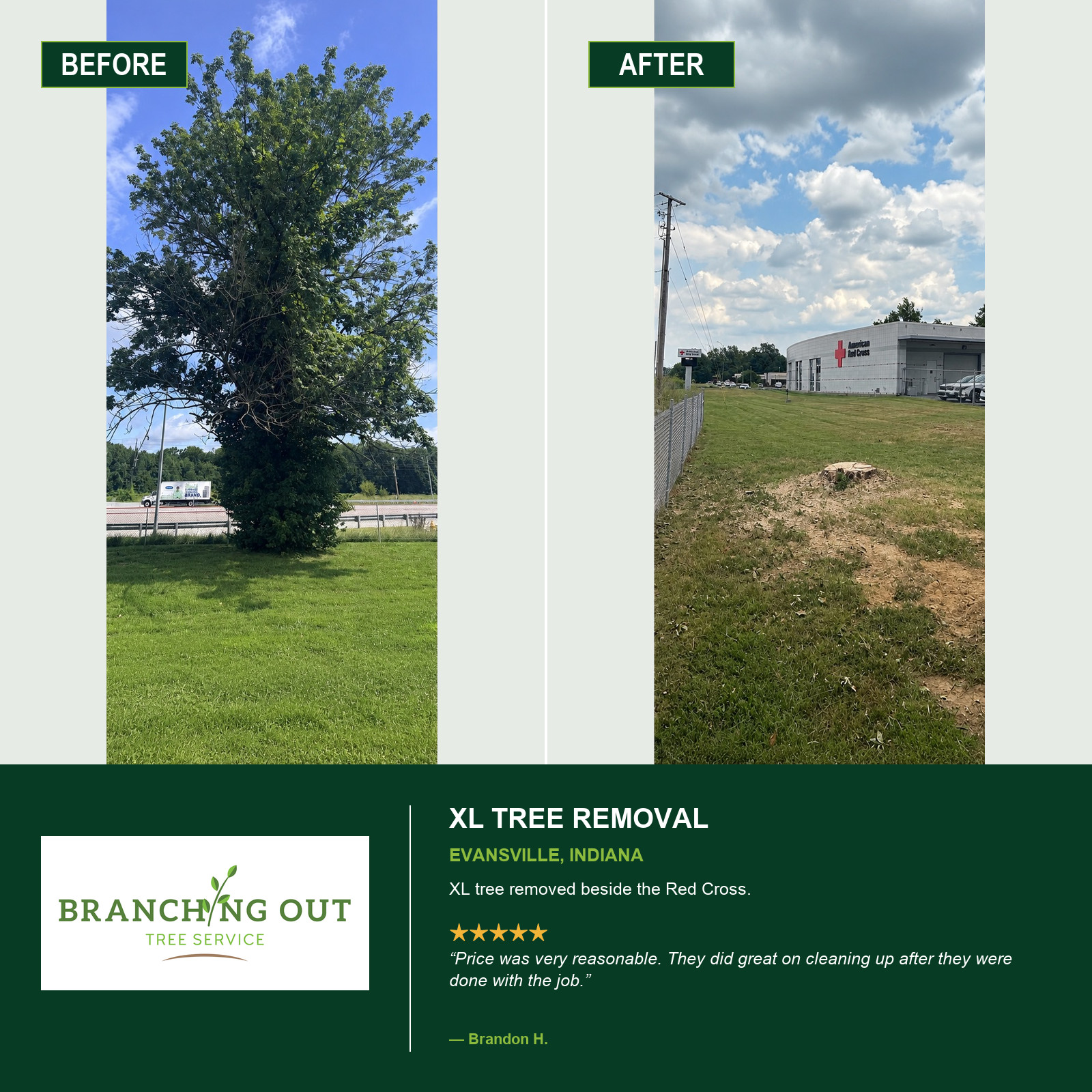 Before-and-after XL tree removal beside the American Red Cross in Evansville, Indiana.