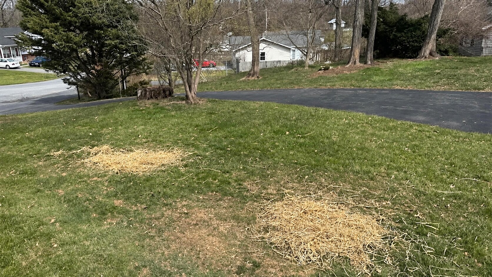 Finished stump grinding and mulch removal with restored ground areas in an Evansville, Indiana yard.