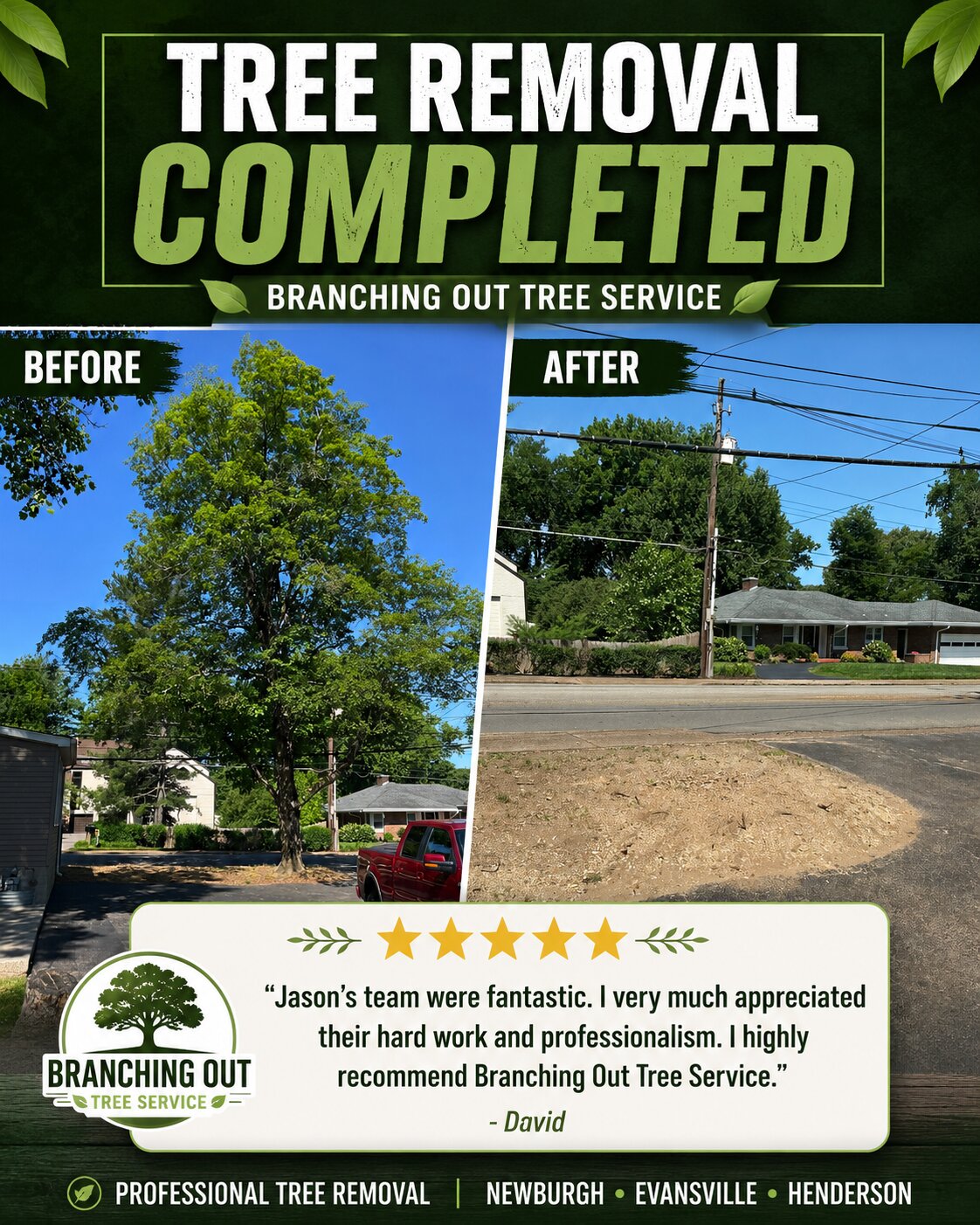 Before-and-after tree removal completed in Evansville, Indiana