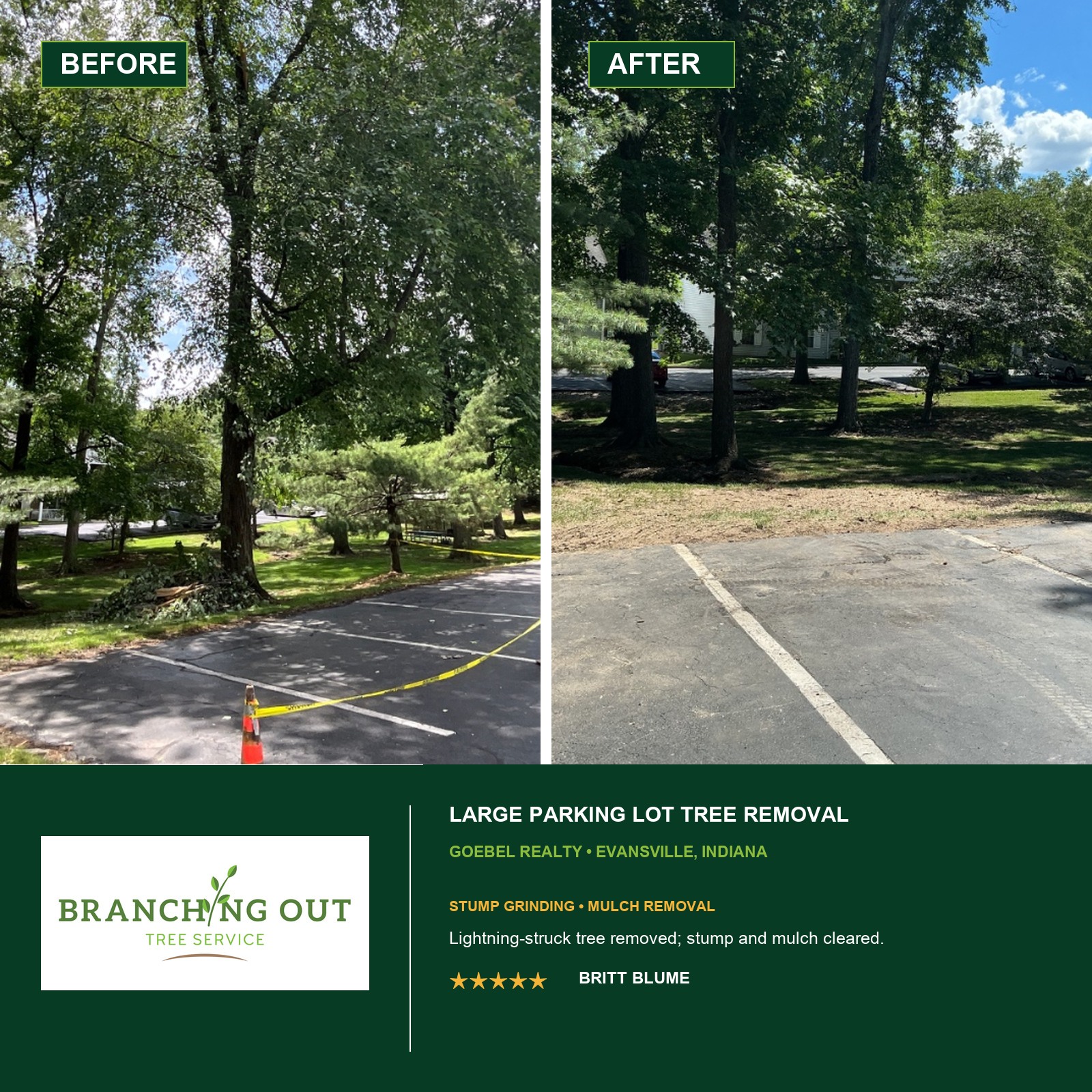 Before-and-after lightning-struck tree removal, stump grinding, and mulch removal at Goebel Realty in Evansville