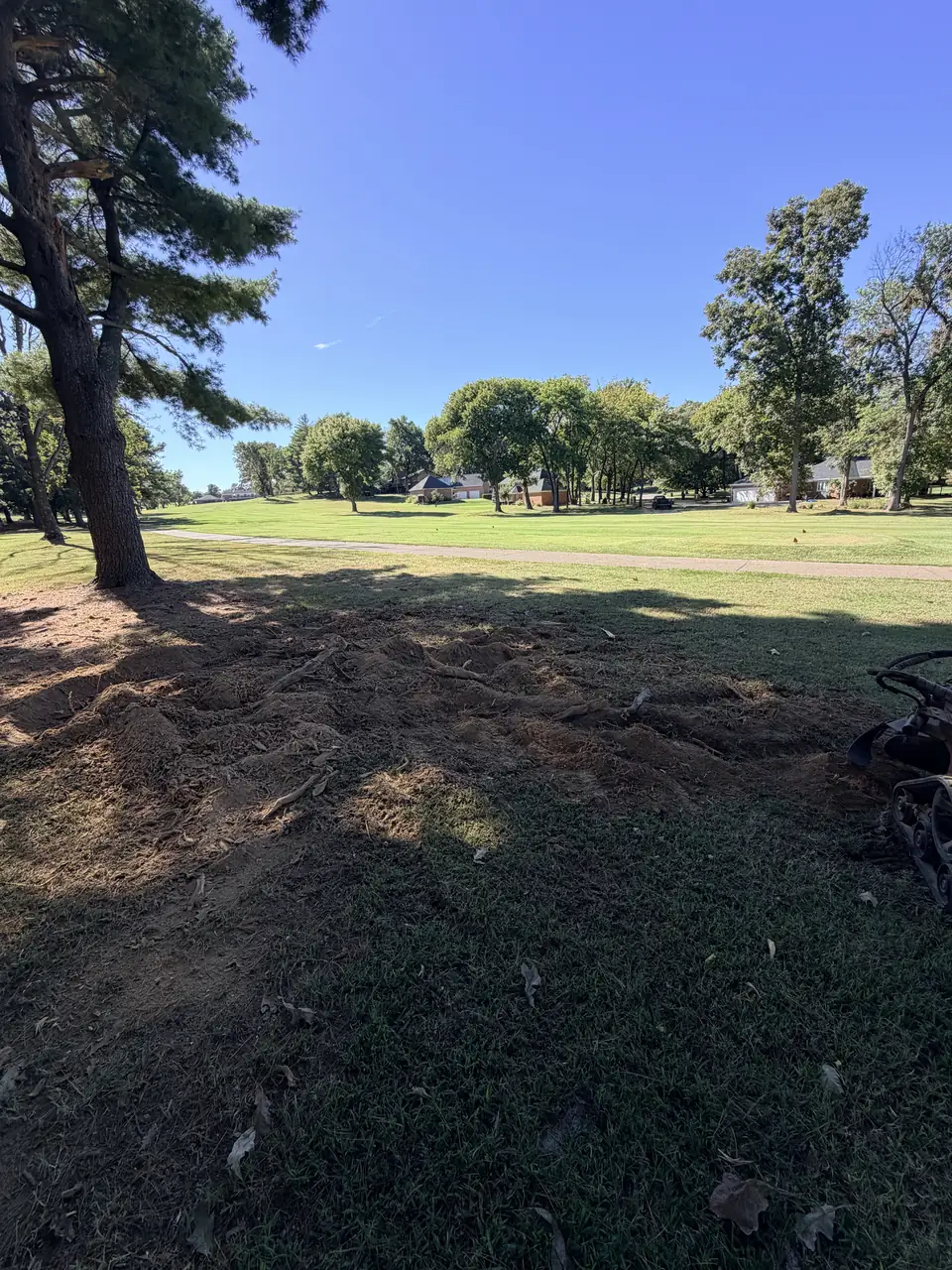 Ground stump areas and wood debris with golf-course paths and trees in the background