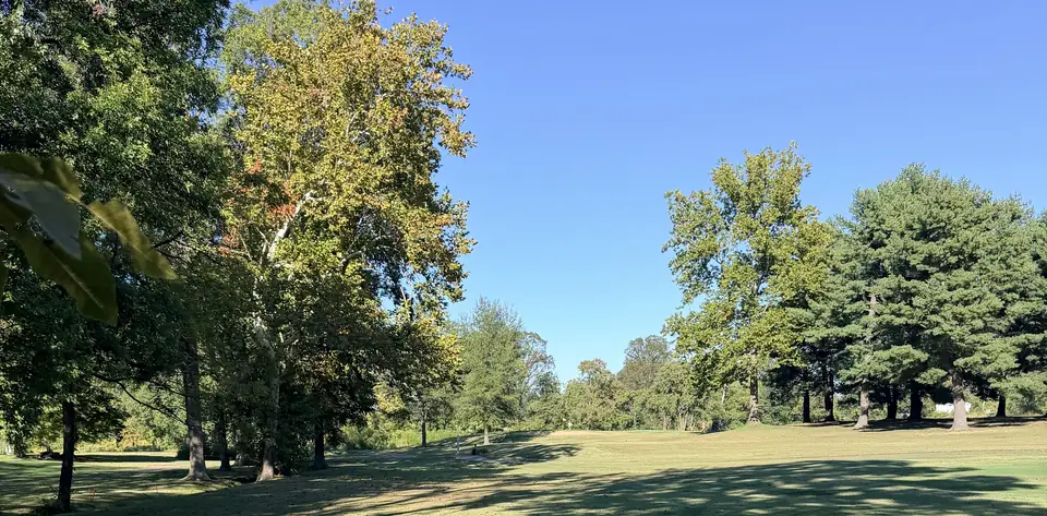 Mature trees framing an open fairway at Henderson Country Club