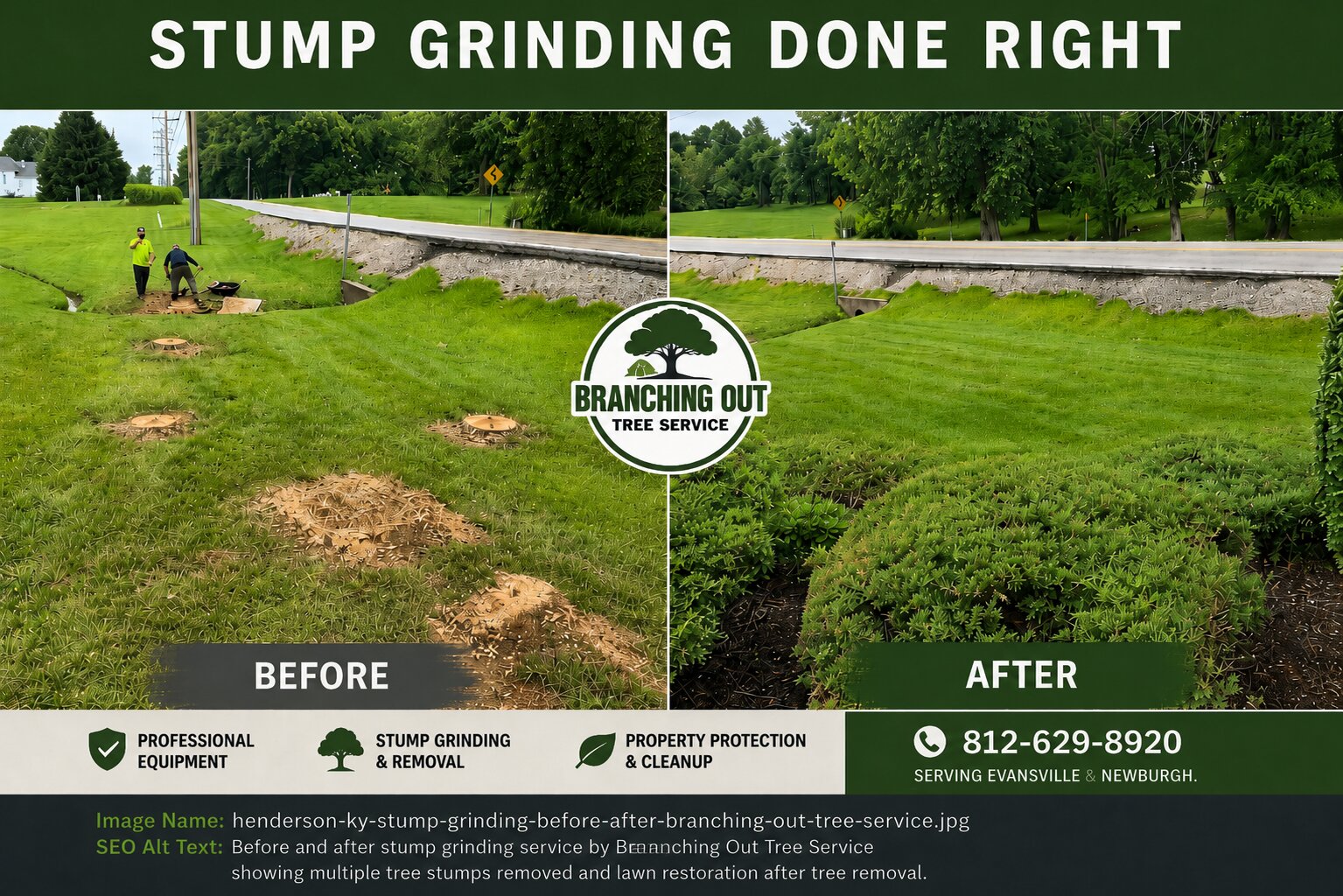 Before-and-after stump grinding project in Henderson, Kentucky by Branching Out Tree Service