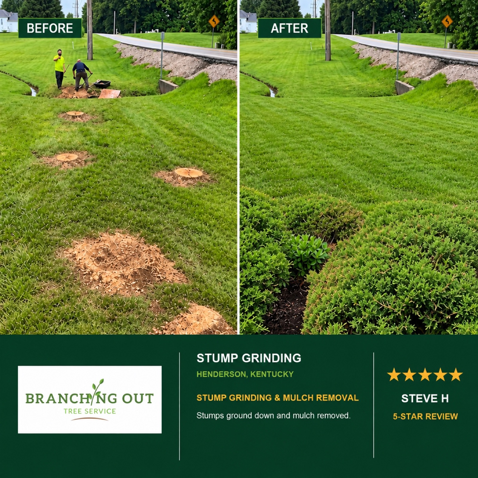 Before-and-after stump grinding and mulch removal in Henderson