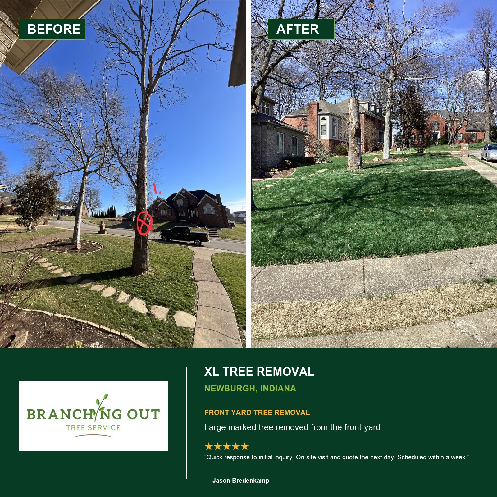 Before-and-after front-yard tree removal at Autumn Ridge in Newburgh