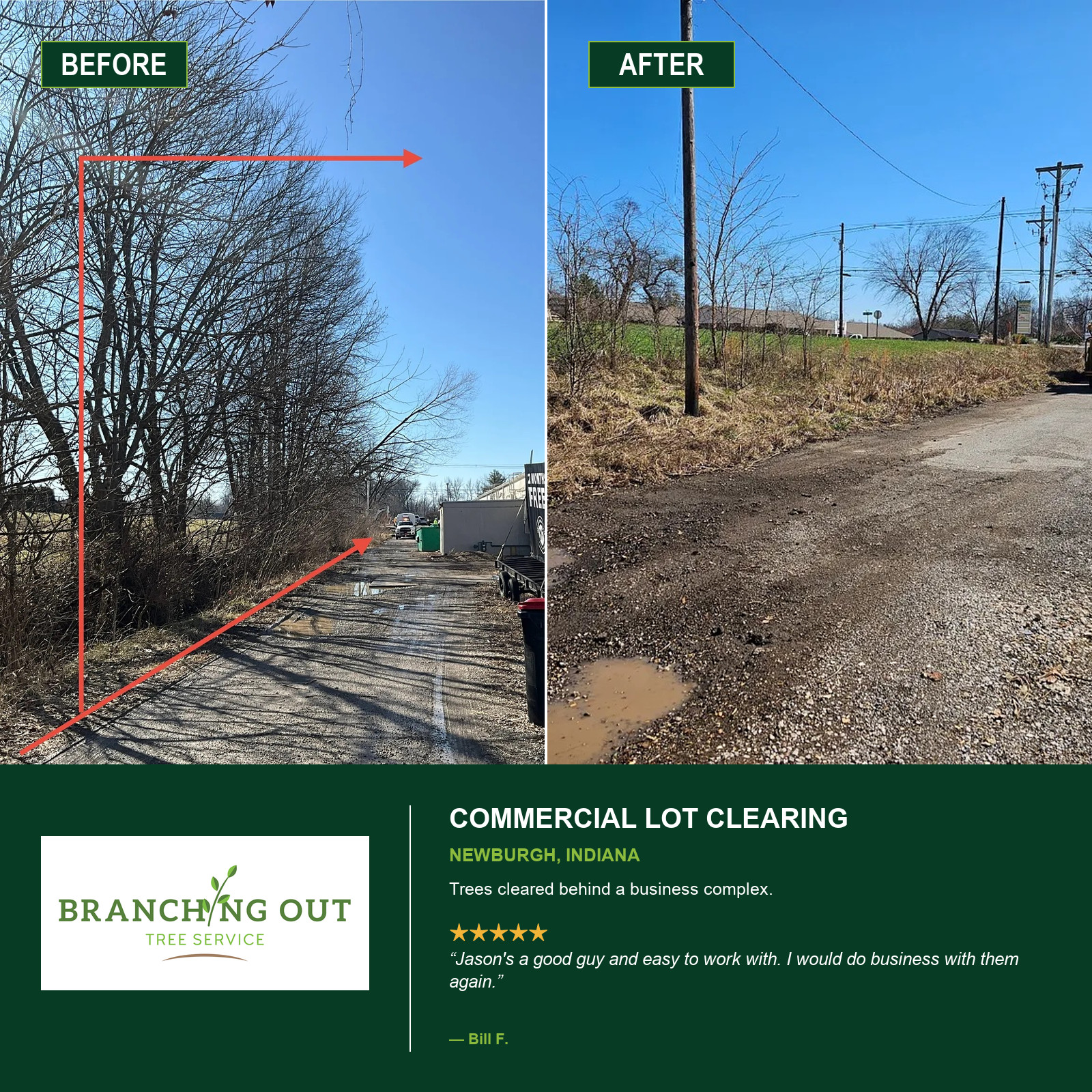 Before-and-after commercial lot clearing behind a business complex in Newburgh, Indiana.