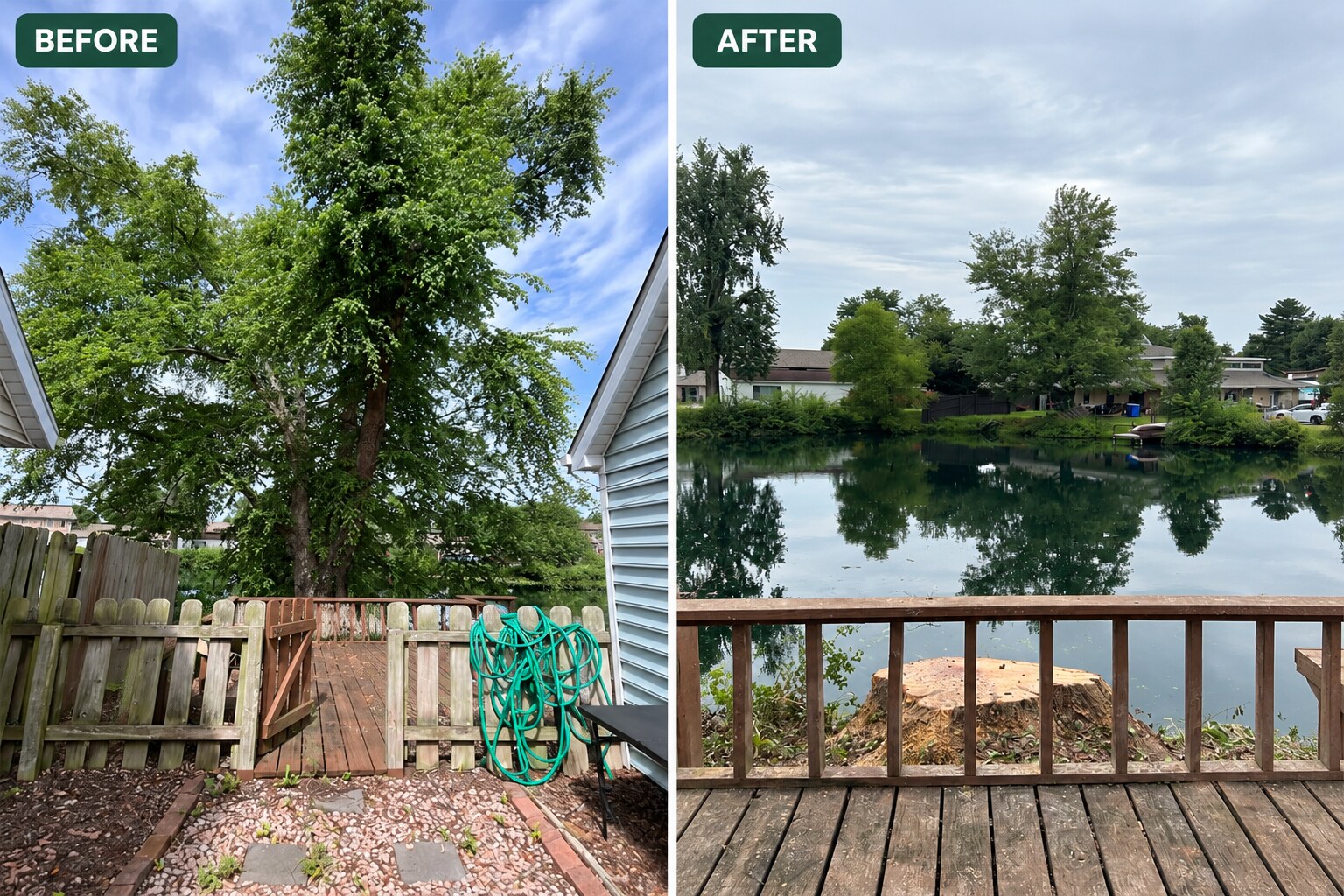 Before-and-after large tree removal in a confined lakeside space in Newburgh, Indiana.
