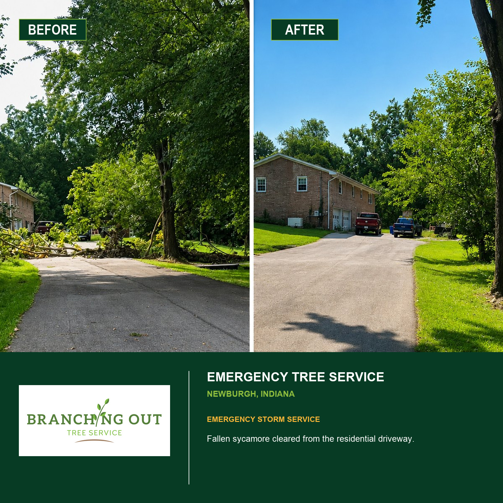 Before-and-after emergency cleanup of a fallen sycamore blocking a Newburgh driveway