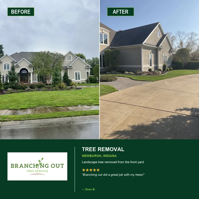 Before-and-after front landscape tree removal in Newburgh, Indiana