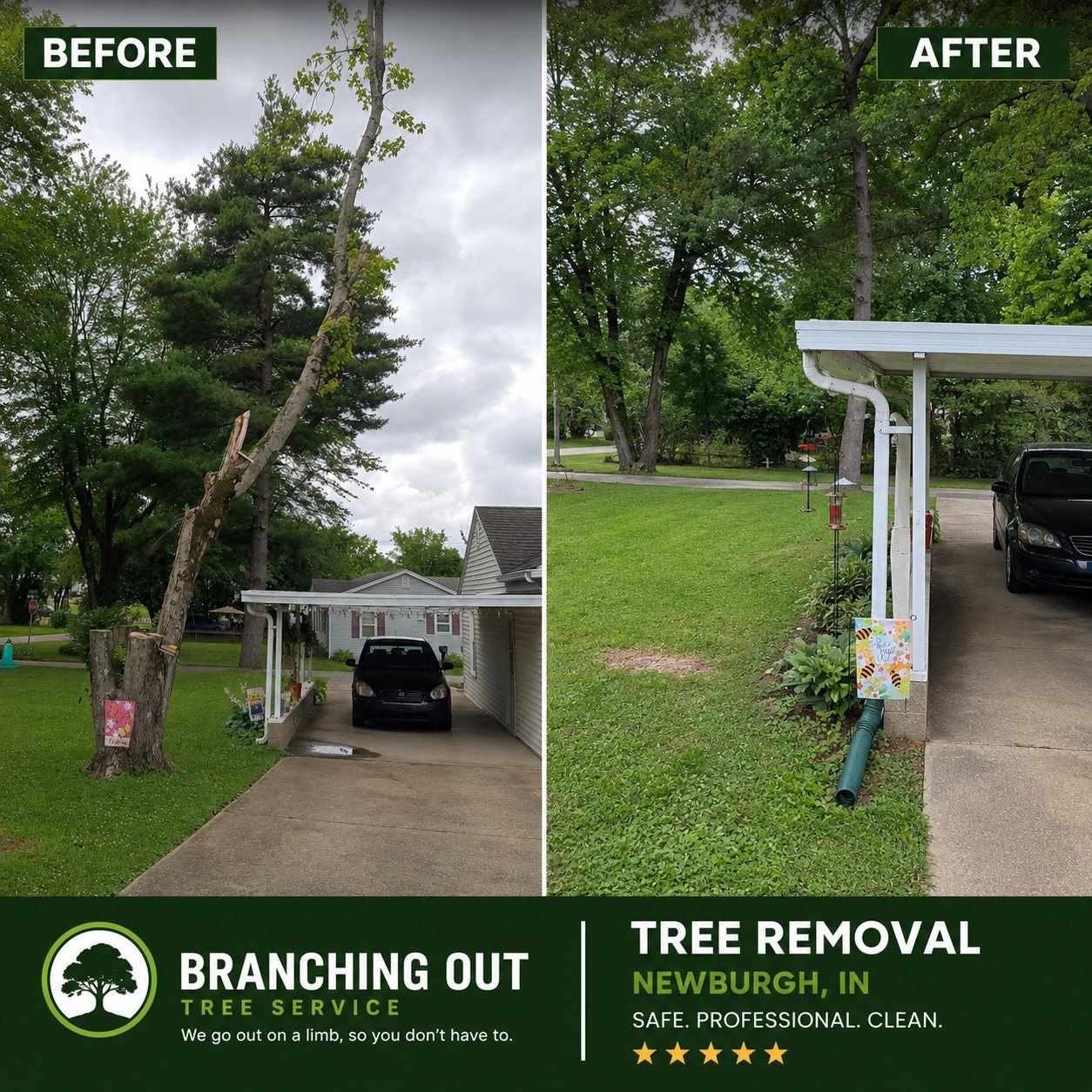 Branded before-and-after Newburgh tree removal