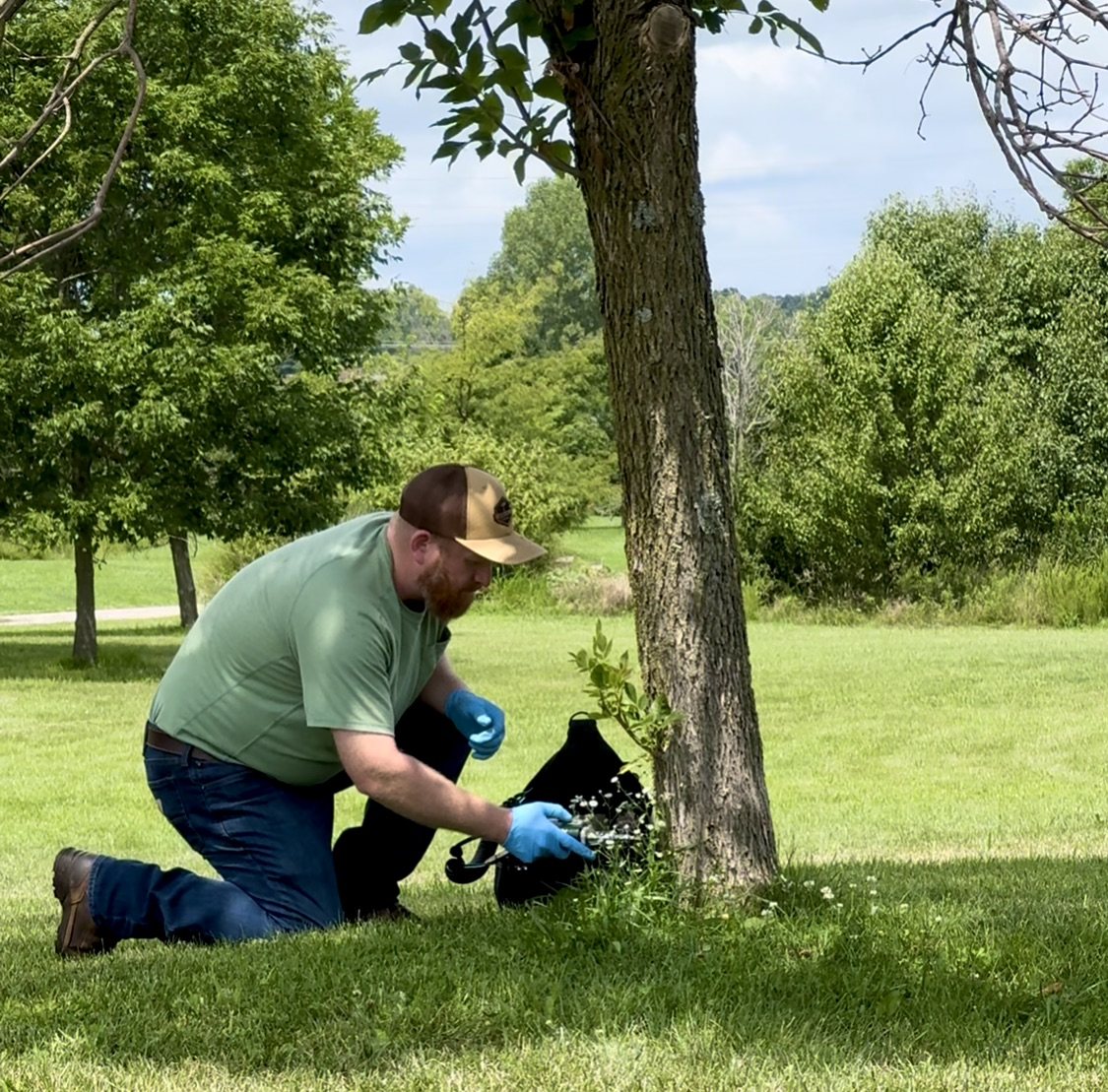 Wide view of an arborist performing a tree injection treatment