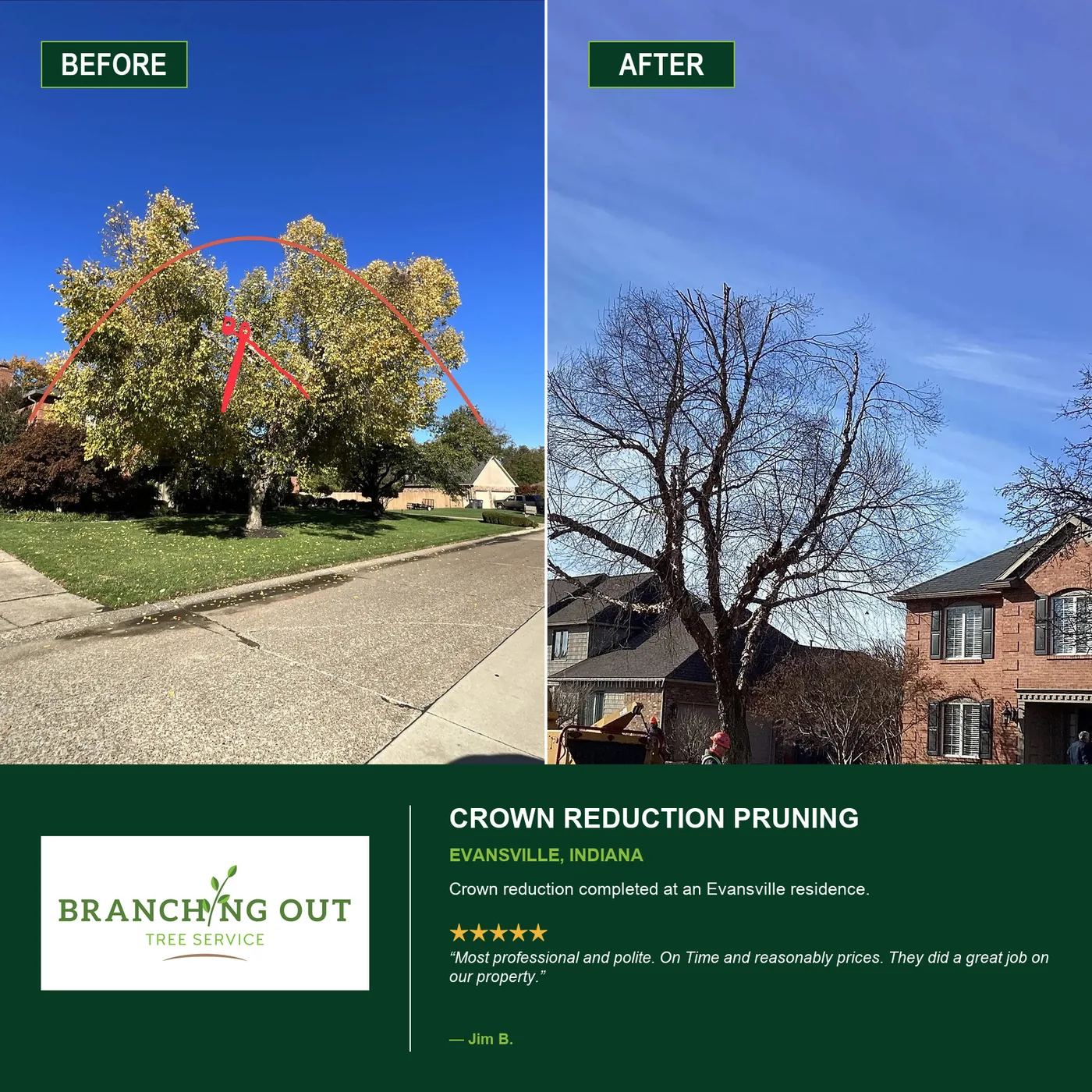 Before-and-after crown reduction pruning at an Evansville residence; customer Jim B. shared a review
