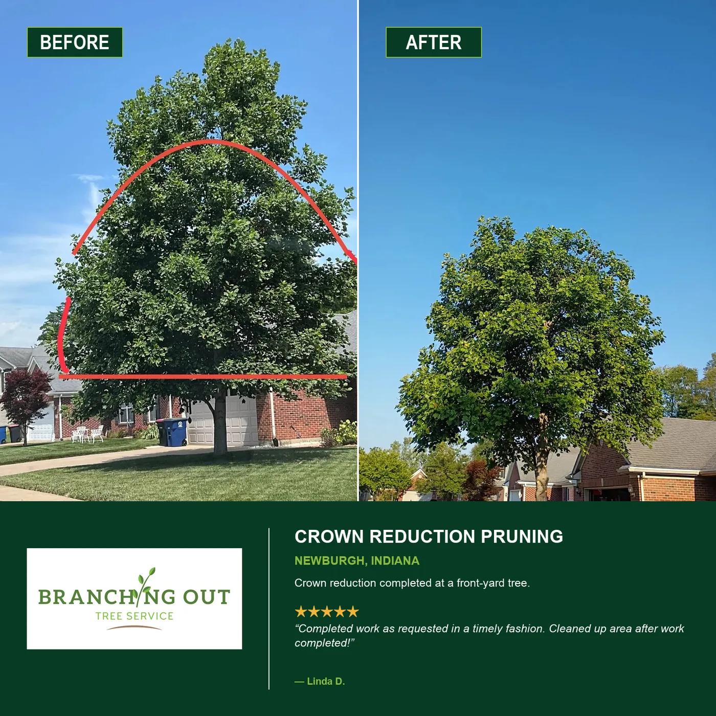 Before-and-after crown reduction pruning at a Newburgh front yard