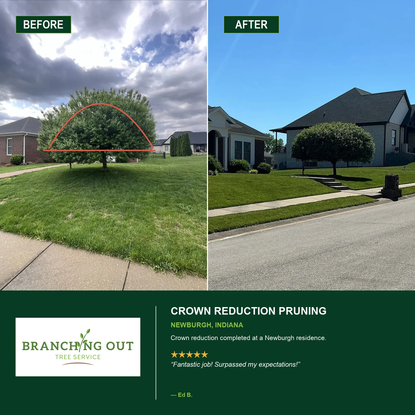 Before-and-after crown reduction pruning at a Newburgh residence