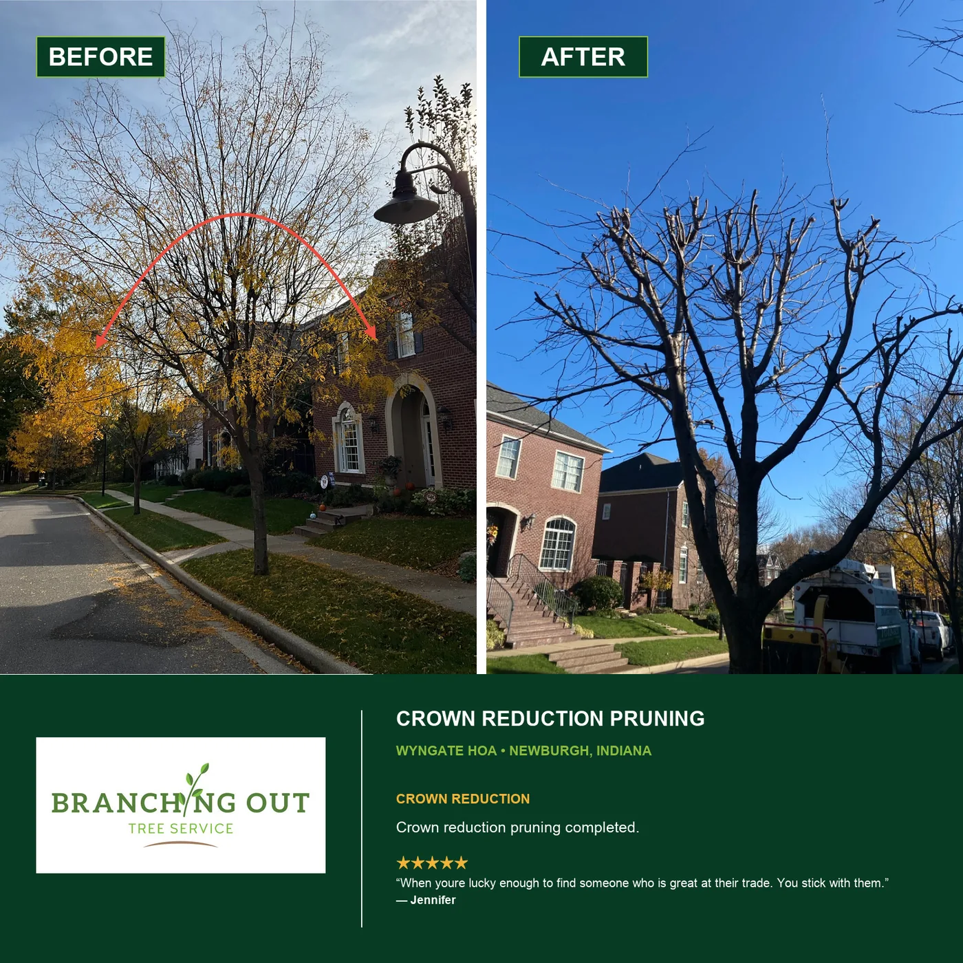 Before-and-after crown reduction pruning at Wyngate HOA in Newburgh; customer Jennifer shared a review