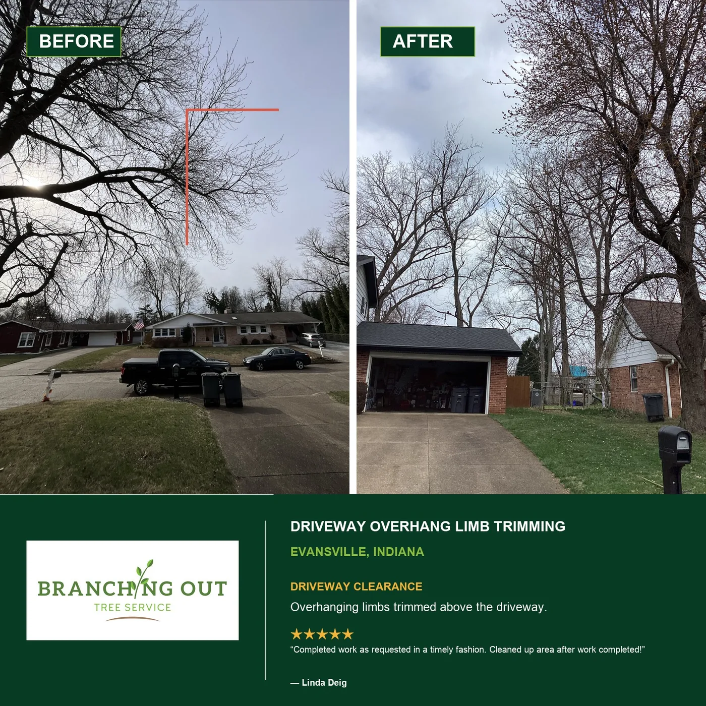 Before-and-after trimming of limbs over a driveway in Evansville